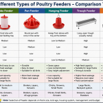 Types of feeder