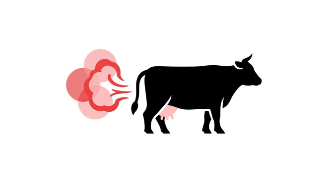 cow's flatulence