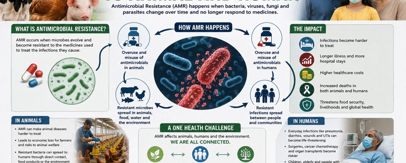 Antimicrobial Resistance Is a Growing Threat to Animal and Human