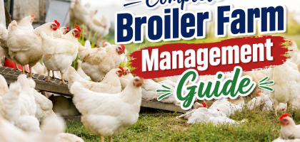 Complete Broiler Farm Management Guide