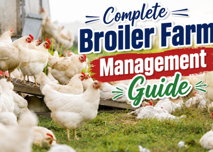 Complete Broiler Farm Management Guide